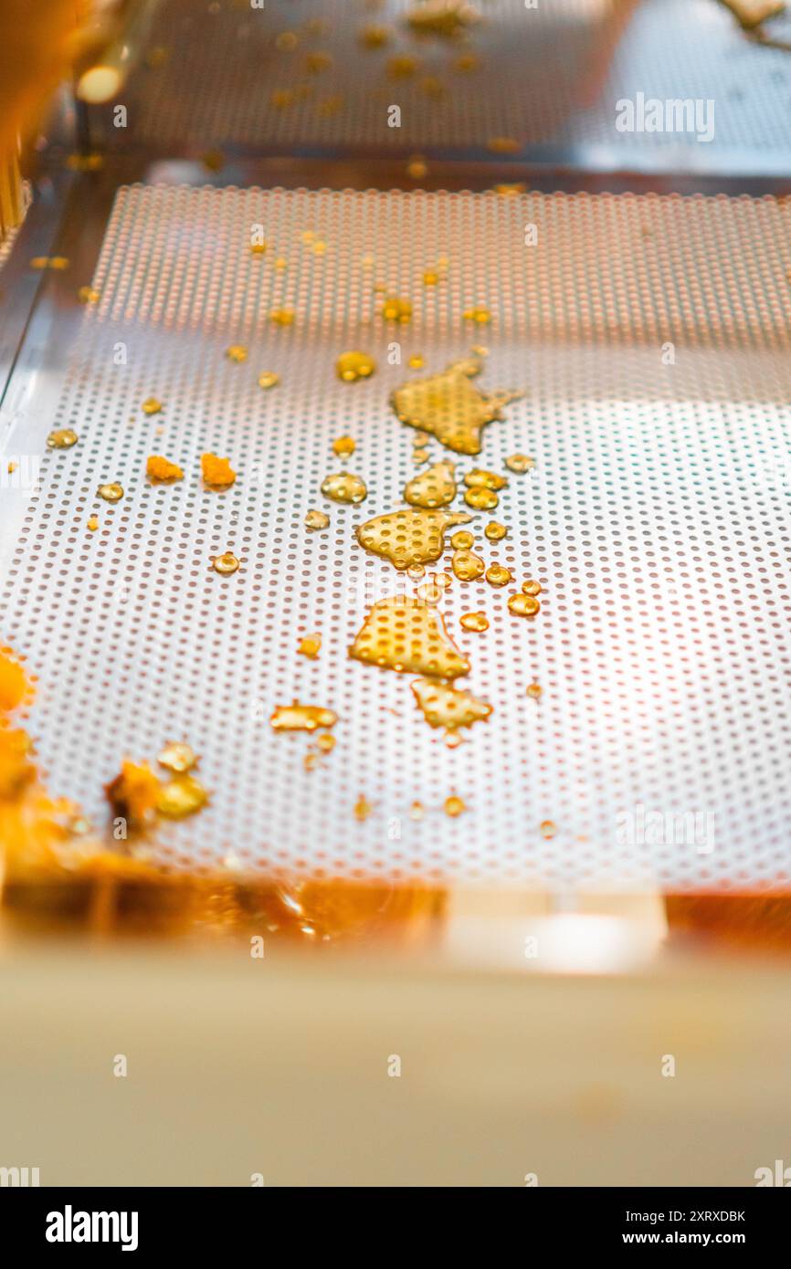 Honig tropft in einem Beehive Abdecktablett Nahaufnahme Stockfoto