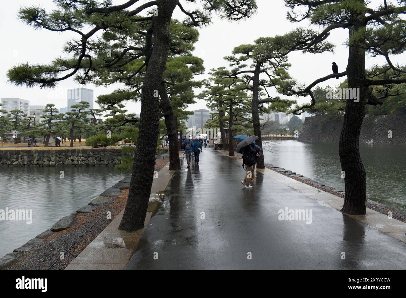 Kaiserpalast und Gelände, Tokio, Japan. Edo, das alte Japan Stockfoto