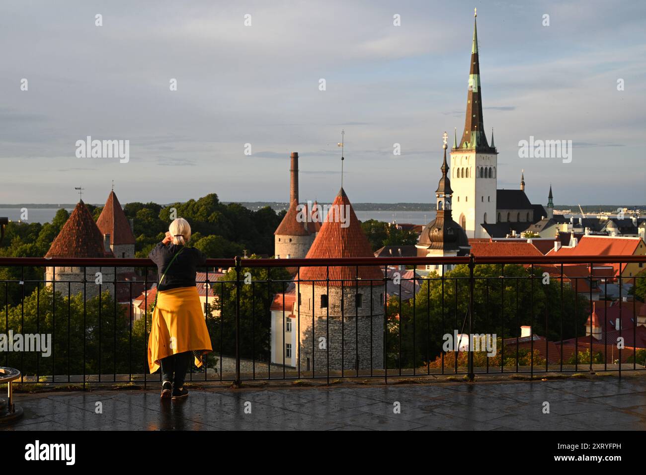 Tallinn, Estland - 24. Juli 2024: Touristen in der Altstadt von Tallinn, Estland. Stockfoto