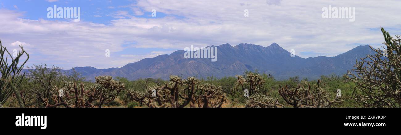 Santa Rita Mountains Unter Den Monsun Wolken Stockfoto