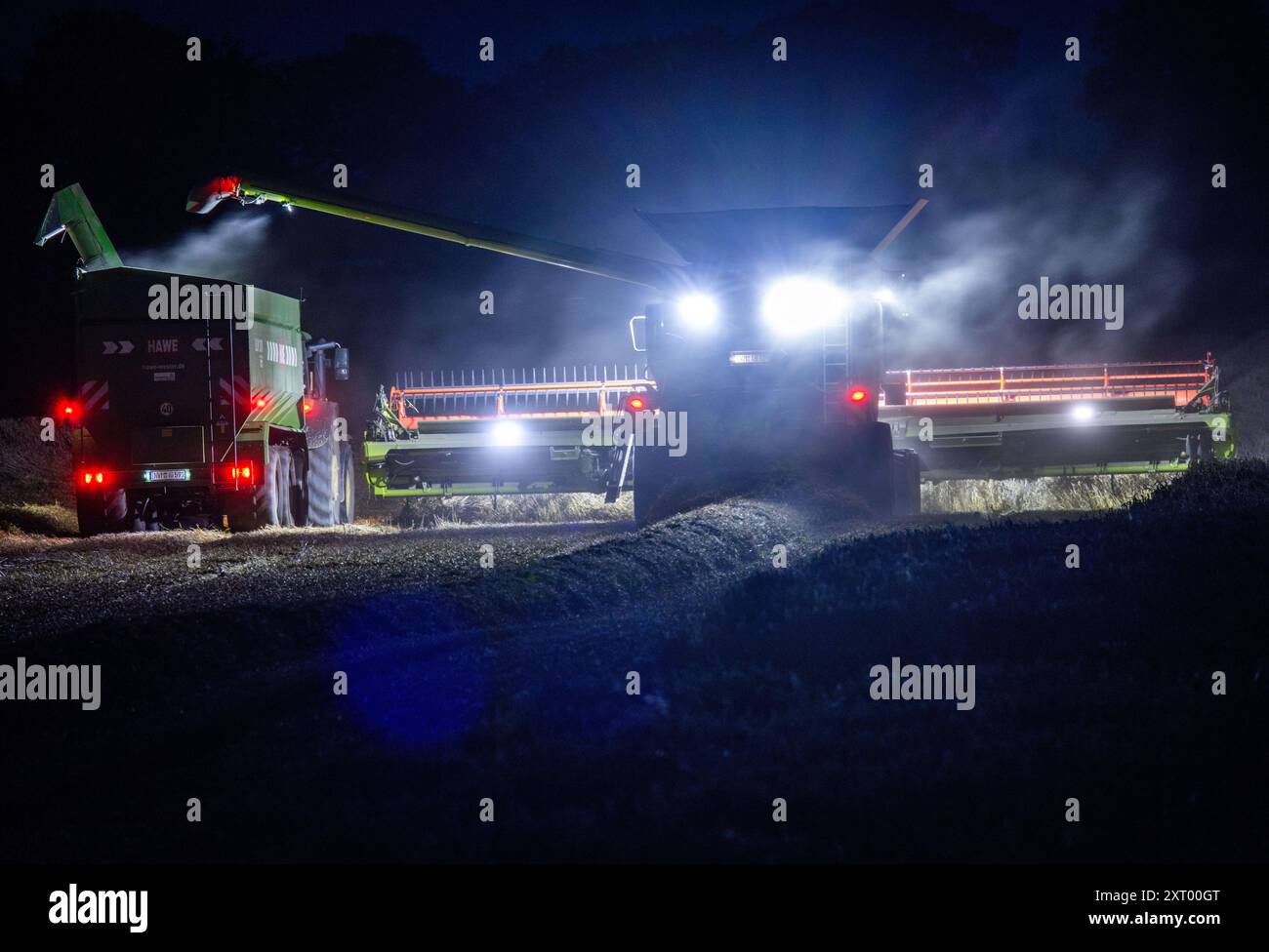 Gadebusch, Deutschland. August 2024. Mähdrescher und Traktorgruppen fahren nach Sonnenuntergang über ein Feld und droschen Weizen. Nach langen Erntepausen aufgrund von Regen und nassem Boden nutzen die Bauern in Norddeutschland das trockene und warme Wetter, um die letzten Getreidefelder bis spät in den Abend zu ernten. Quelle: Jens Büttner/dpa/Alamy Live News Stockfoto