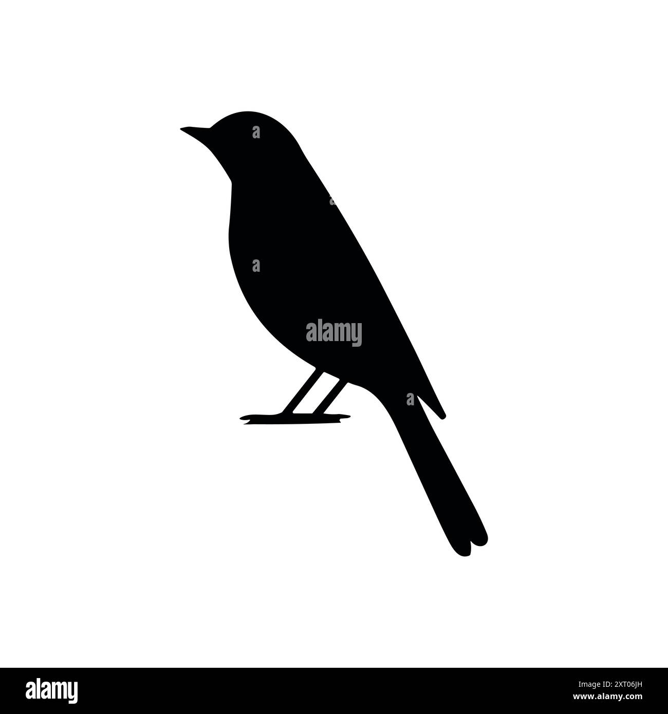 Symbol für die Silhouette des Vogel-Vektors. Tier Vogel Natur Wildtiere Schwarze Sperber Falke Ikone Stock Vektor
