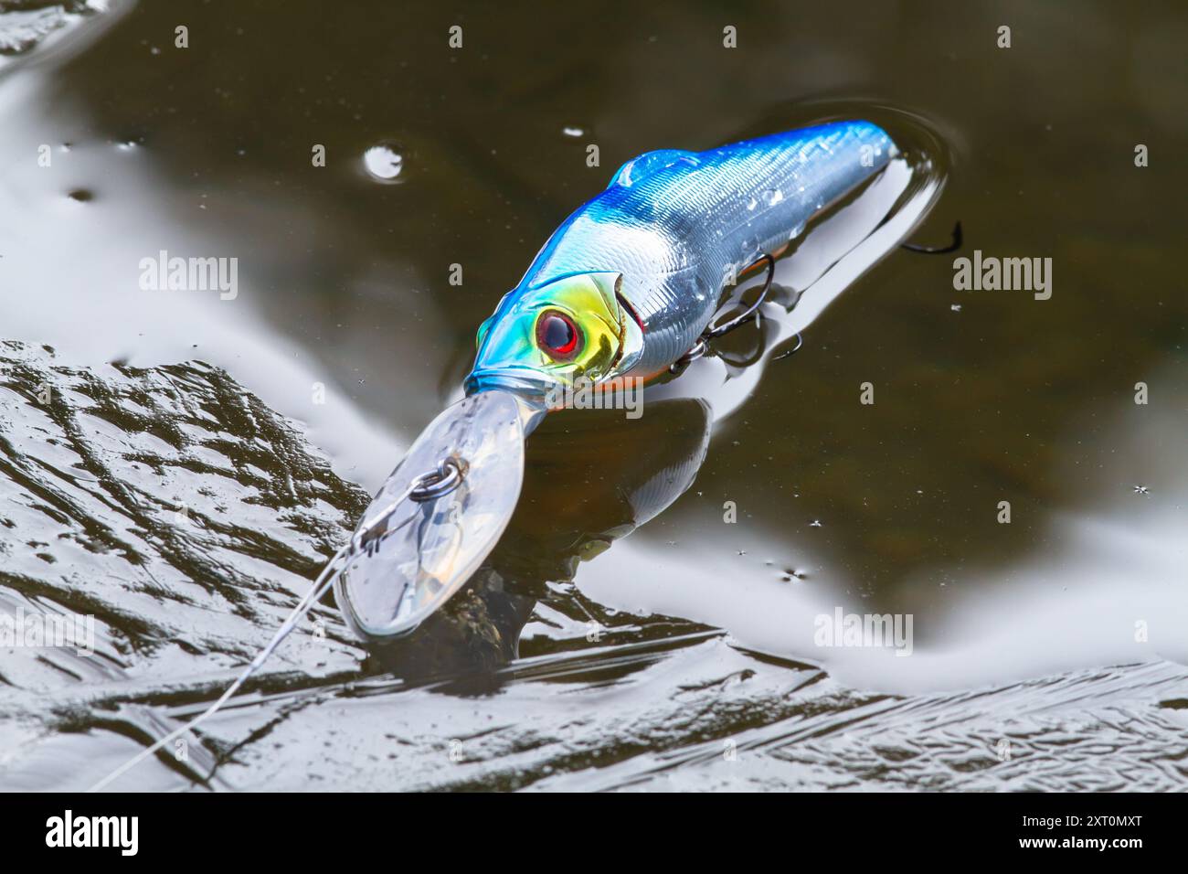 Spinning Bait (Blue Minnow Wobbler) liegt auf dem Felseneis im Fluss Stockfoto