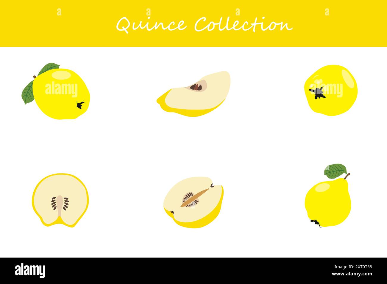 Quittensammlung. Quitte in verschiedenen Posen. Vektorabbildung. Stock Vektor