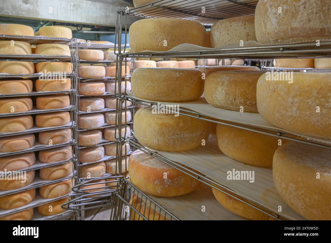 Im „Saloir“ von Fabrèges in den Pyrenäen von Béarn reift der Bergziegenkäse. Artouste, Frankreich Stockfoto
