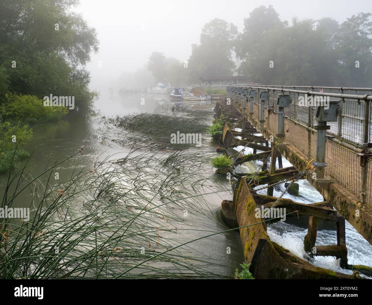 Abingdon-on-Thames behauptet, die älteste Stadt Englands zu sein. Und die Themse fließt durch ihr Herz. Hier ist das Wehr, direkt oberhalb der mittelalterlichen Brücke, verstopft am Treffpunkt des Flusses mit dem Nebenfluss Abbey Spring. Dieses Wehr grenzt an das Abingdon Lock. Und es ist ein nebeliger Sommermorgen. Stockfoto