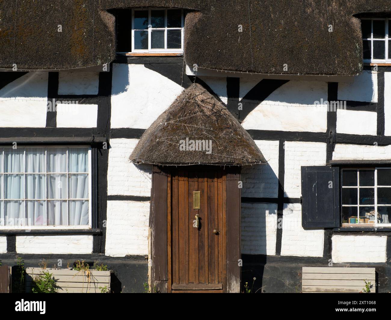 Zwei architektonische clichs zum Preis von einem - ein malerisches Reetgedecktes Cottage mit Mock Tudor Fassade in Sutton Courtenay Village in Oxfordshire. Nun, ich schätze, die Touristen lieben es... Aber ist es eigentlich Mock Tudor (Tudor Revival)? Es sieht alt genug und unregelmäßig aus, dass es nur das echte ist! Nicht die Fenster, Türen und Armaturen, natürlich nur die Grundstruktur. Google ist hier nicht schlüssig. Stockfoto