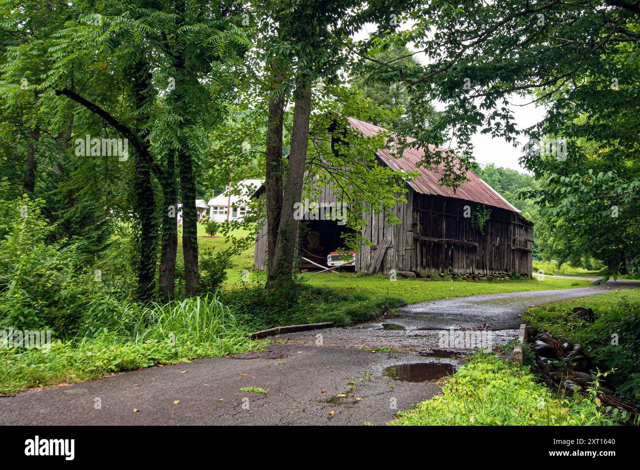 Alte, verwitterte Holzscheune an einer malerischen Straße im ländlichen Tennessee im Juli. Stockfoto