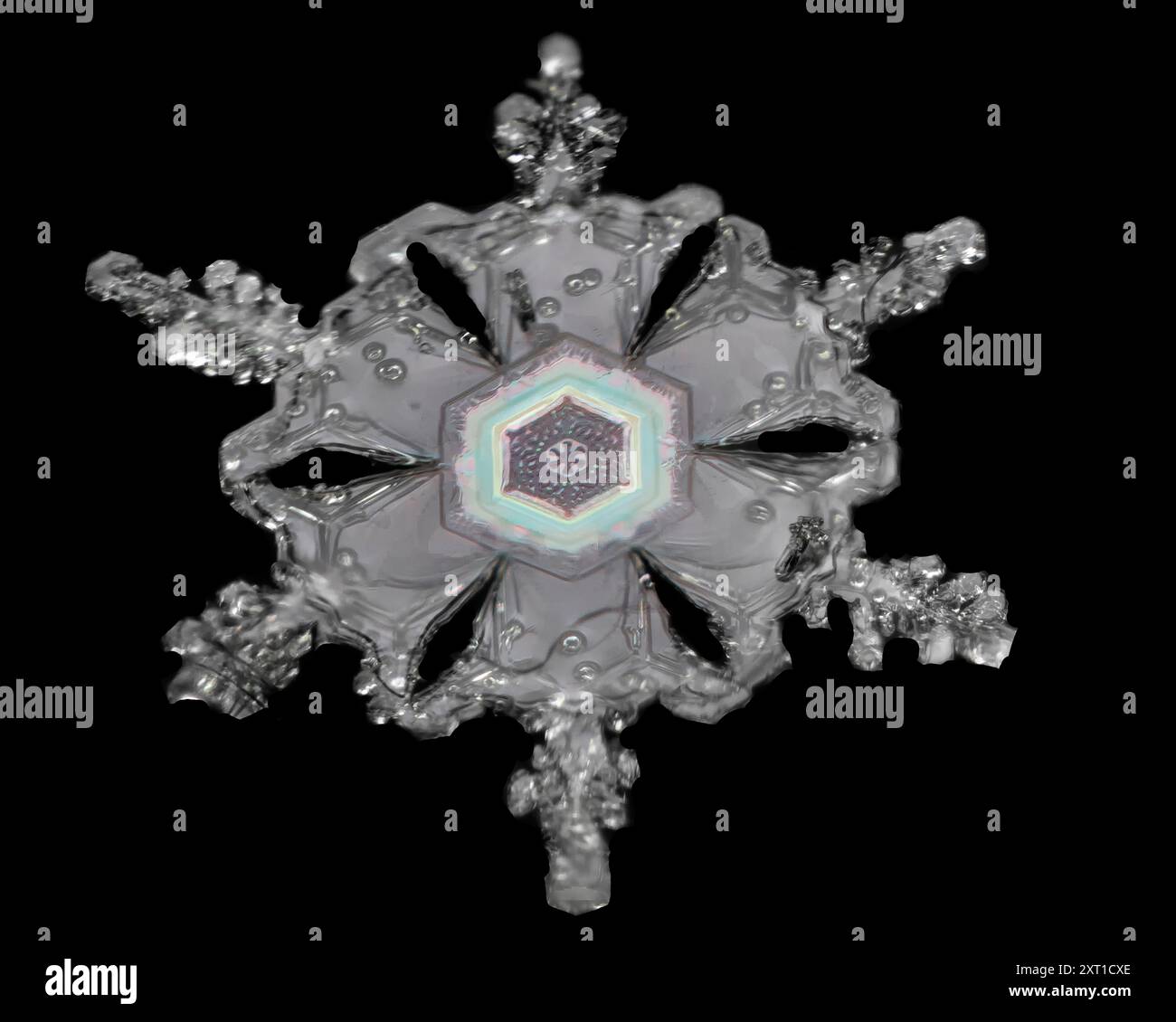Komplizierte Schneeflocke mit sechseckigem Muster und zarten Kristallformationen vor schwarzem Hintergrund. Aurora, Colorado Vereinigte Staaten peja00003 Kopie Stockfoto