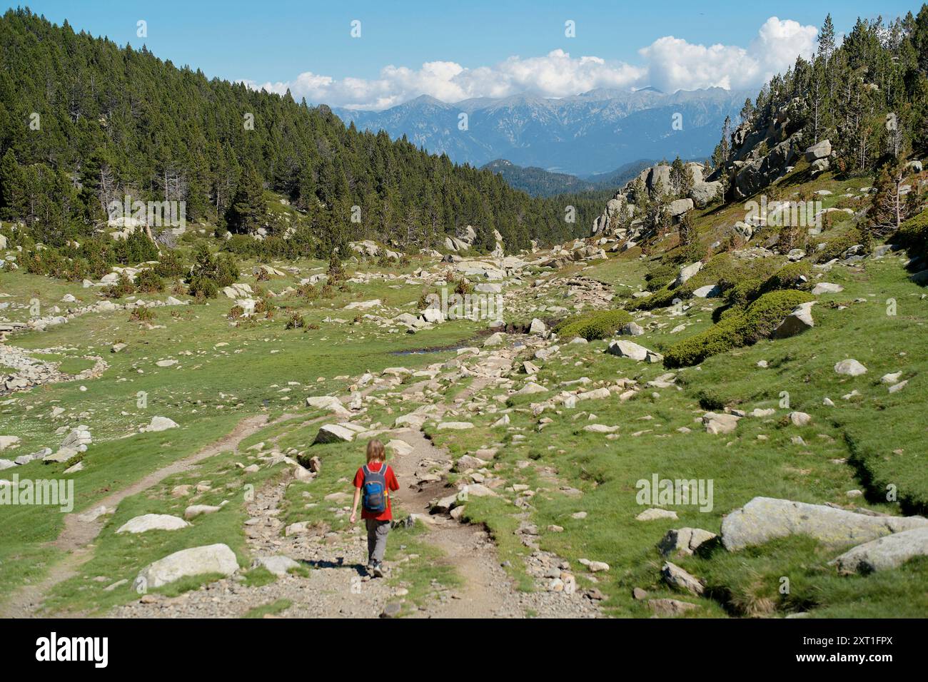 Ein Wanderer mit rotem Rucksack, der auf einem Bergweg von üppigem Grün und weit entfernten schneebedeckten Gipfeln spaziert. Bola02473 Copyright: XConnectxIm Stockfoto