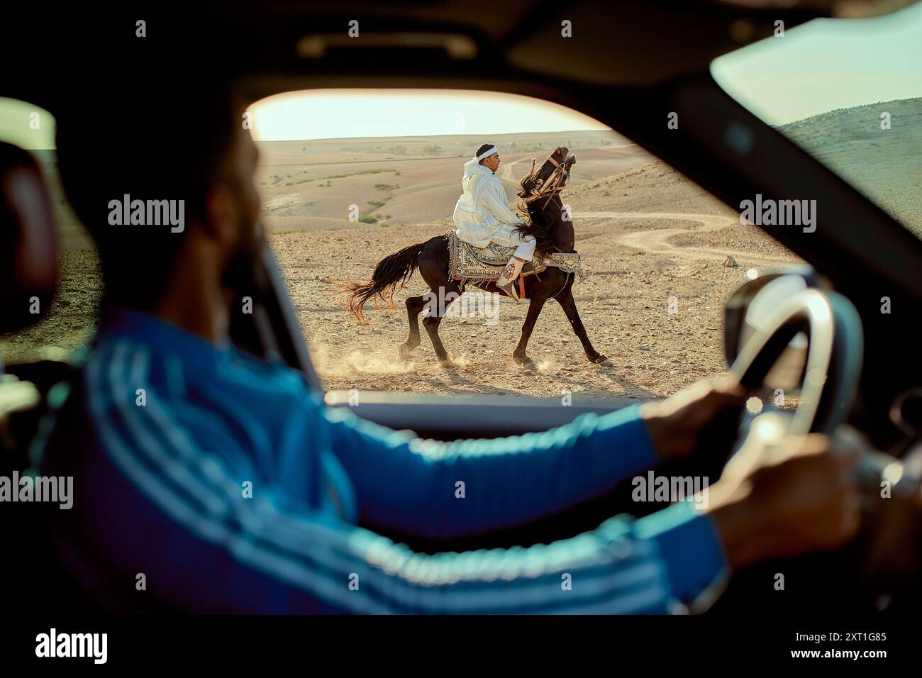 Blick aus dem Innenraum eines Autos auf eine Person, die auf einem Kamel durch eine Wüstenlandschaft reitet, durch die Windschutzscheibe mit dem Fahrer in Teilsicht gesehen. Bola0253 Stockfoto