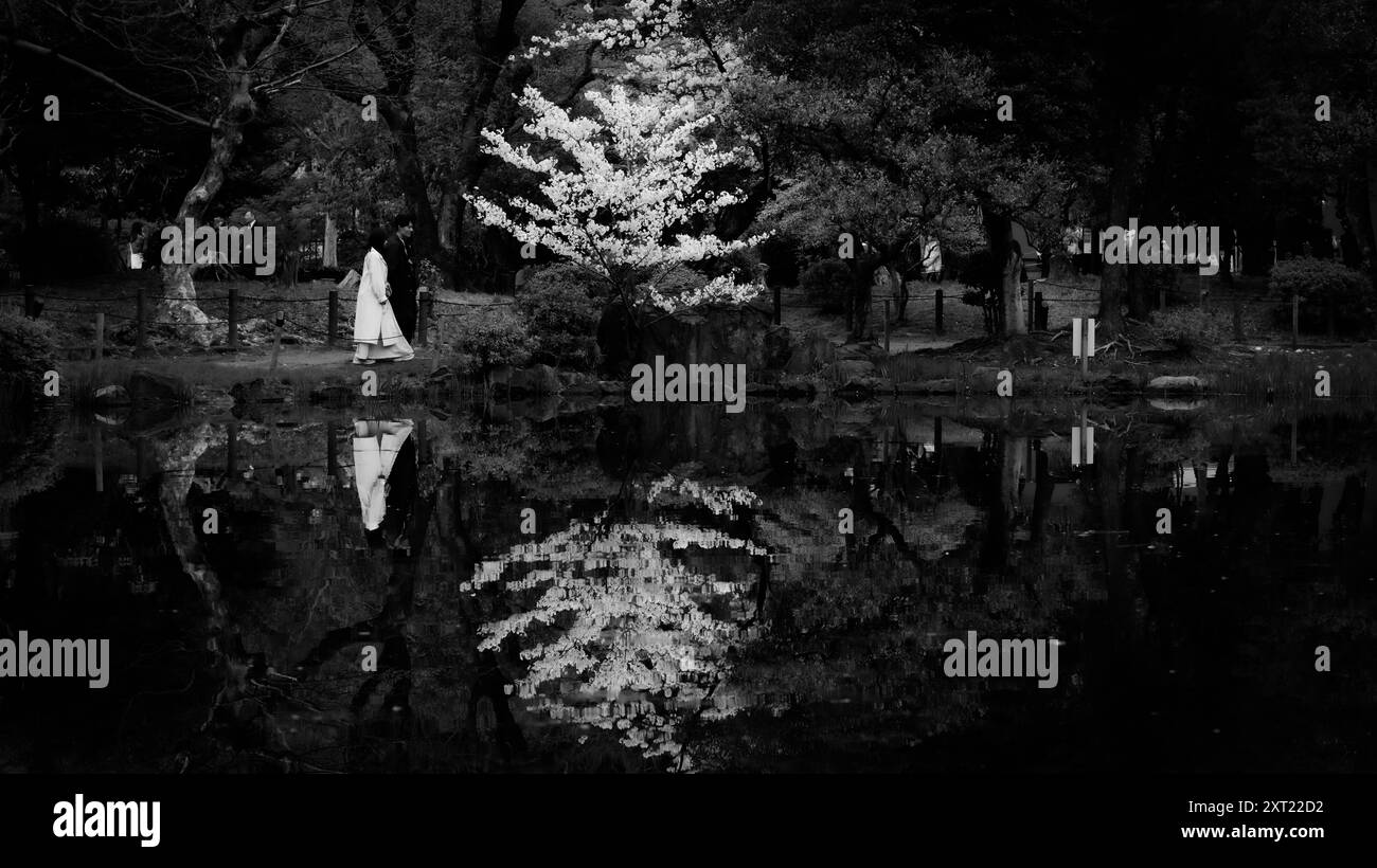 Reflektierender Moment in einem japanischen Garten: Monochrome Gelassenheit. Tokio, Japan Stockfoto