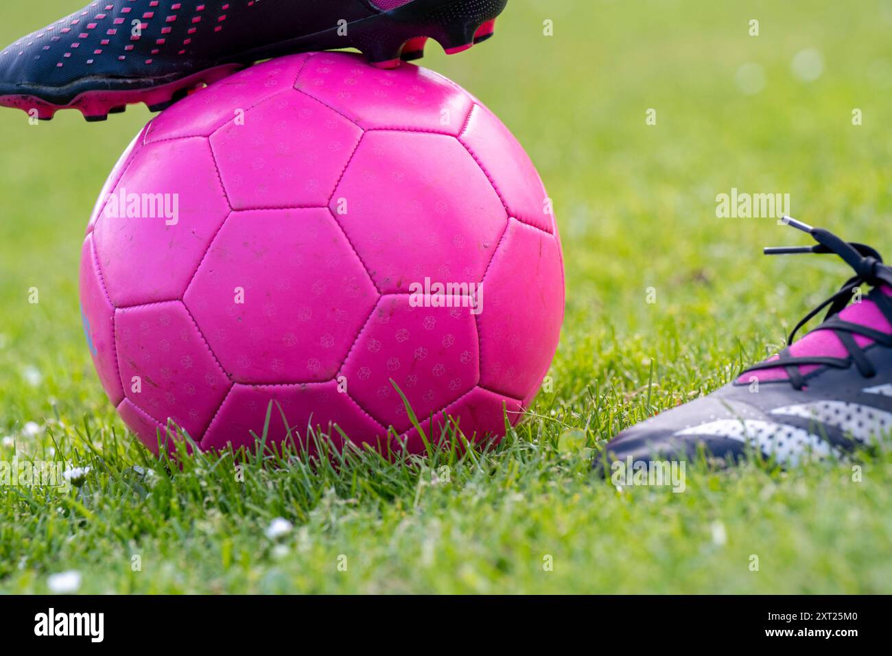 Nahaufnahme eines rosafarbenen Fußballballs auf grünem Gras mit dem Fuß eines Spielers in einem schwarzen Schuh. Panc06296 Copyright: XConnectxImagesx Stockfoto