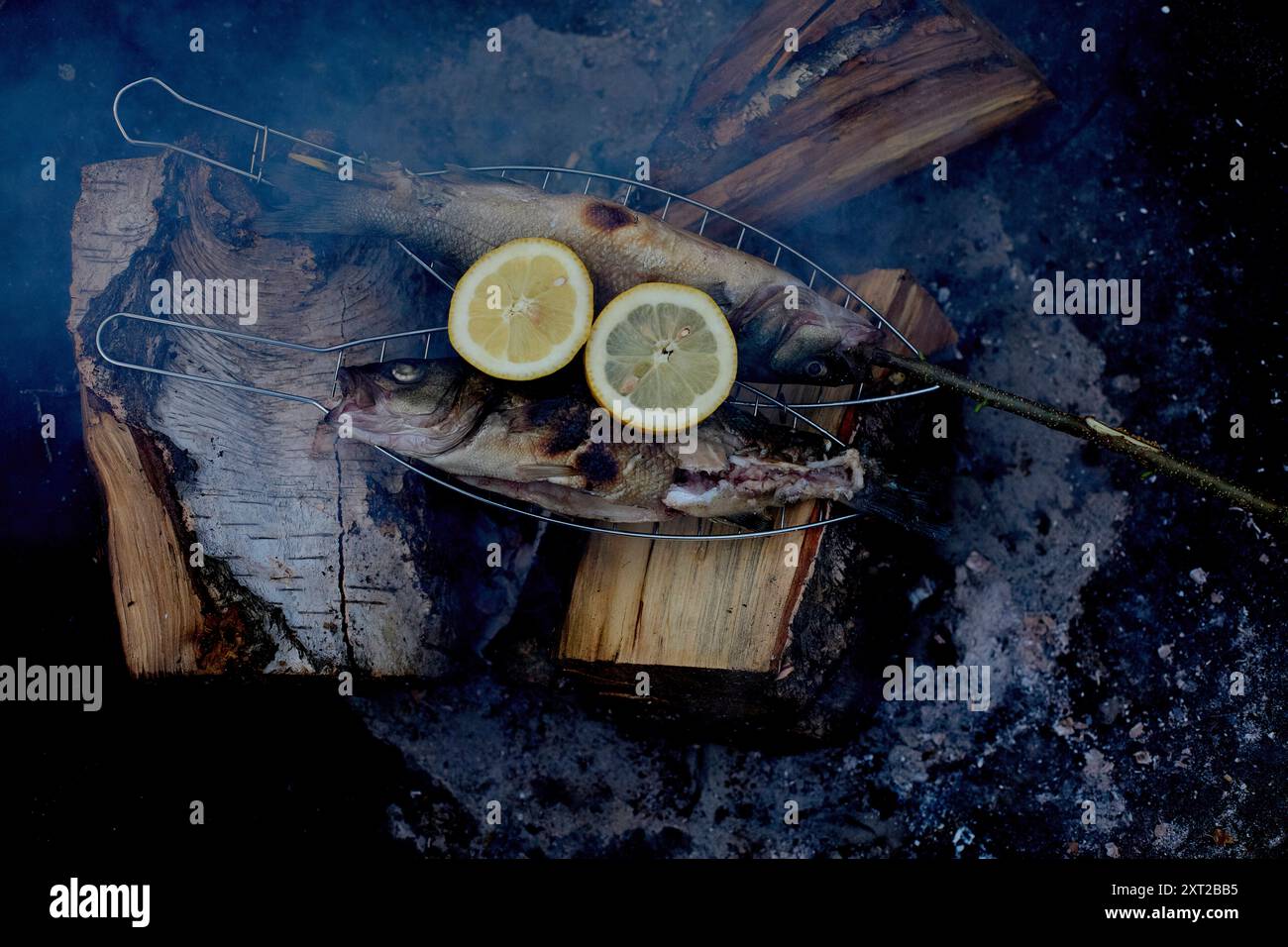 Frischer Fisch, gegrillt über einem Holzfeuer mit Zitronenscheiben auf einem Metallgitter, vor einem rauchig dunklen Hintergrund. Bola02908 Copyright: XConnectxImagesx RECOR Stockfoto