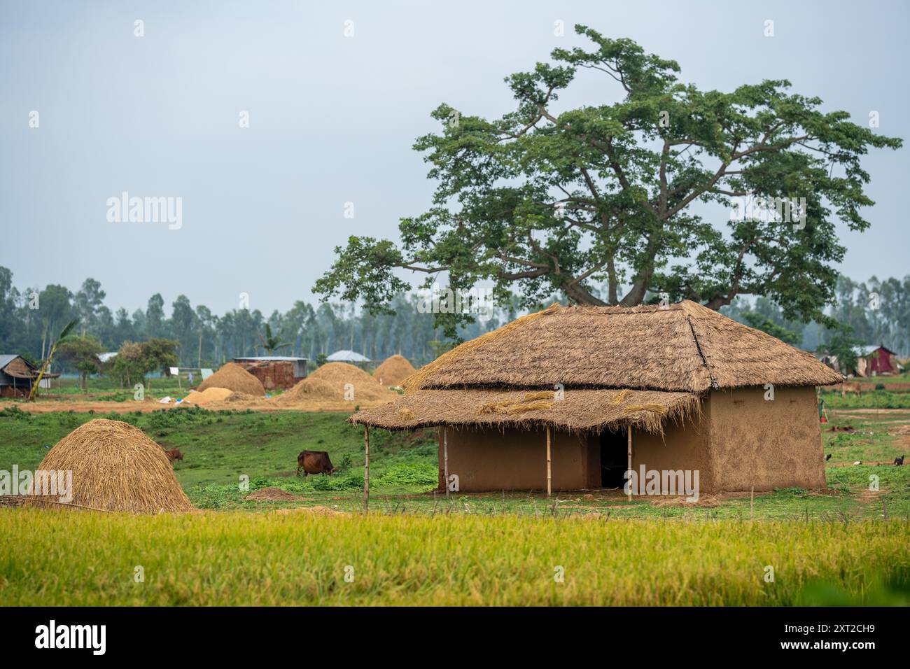 Bauernhütte aus Reisheu in ruhigen Dorffeldern. Natur pur, einfacher Lebensstil, nachhaltiges Wohnen, heimisches Zuhause, minimaler Lebensstil Stockfoto