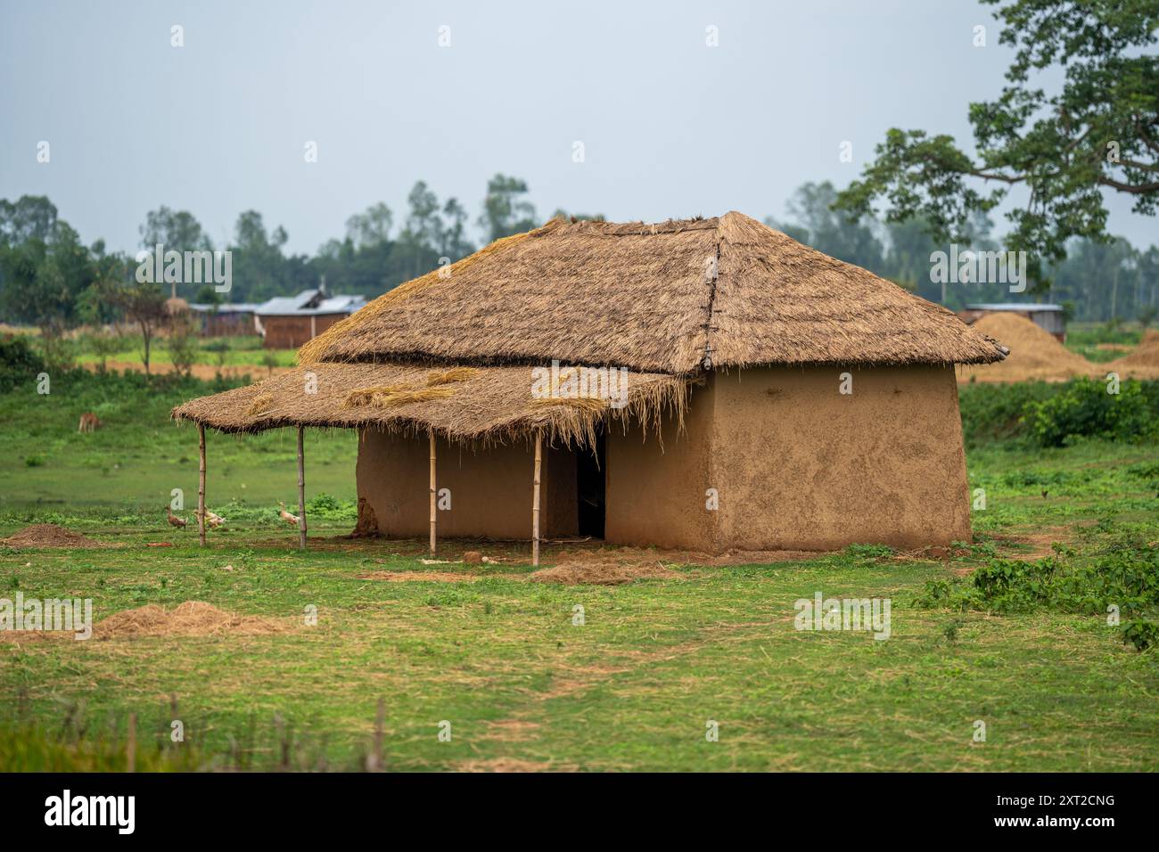 Bauernhütte aus Reisheu in ruhigen Dorffeldern. Natur pur, einfacher Lebensstil, nachhaltiges Wohnen, heimisches Zuhause, minimaler Lebensstil Stockfoto