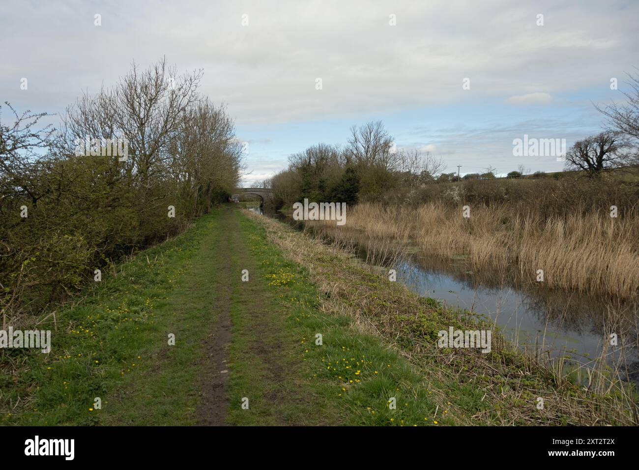 Stillgelegter Abschnitt des Lancaster Canal bei Burton in Kendal Westmorland und Furness, ehemals Cumbria England Stockfoto