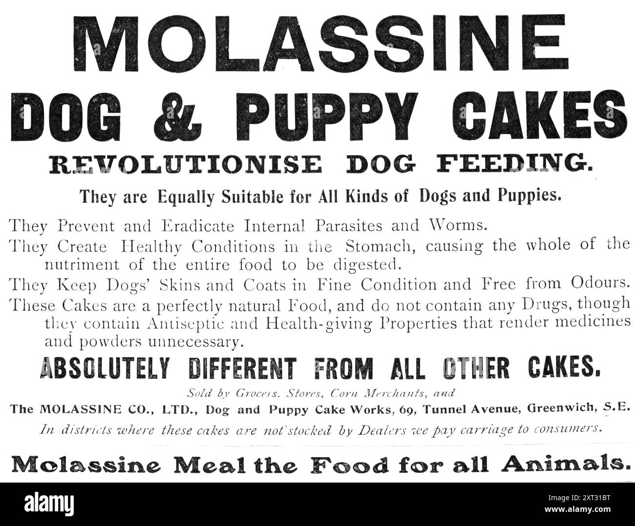 Molassine Dog &amp; Puppy Cakes revolutionieren das Füttern von Hunden - gleichermaßen geeignet für alle Arten von Hunden, 1909. "...REVOLUTIONIEREN SIE DIE HUNDEFUTTER. Sie eignen sich gleichermaßen für alle Arten von Hunden und Welpen. Sie verhindern und beseitigen innere Parasiten und Würmer. Sie schaffen gesunde Bedingungen im Magen, wodurch die gesamte Nährstoffmenge der gesamten Nahrung verdaut wird. Sie halten Hundehäute und -Mäntel in gutem Zustand und frei von Gerüchen. Diese Kuchen sind ein vollkommen natürliches Lebensmittel und enthalten keine Medikamente, obwohl sie antiseptische und gesundheitsfördernde Eigenschaften enthalten, die Medikamente zu machen Stockfoto