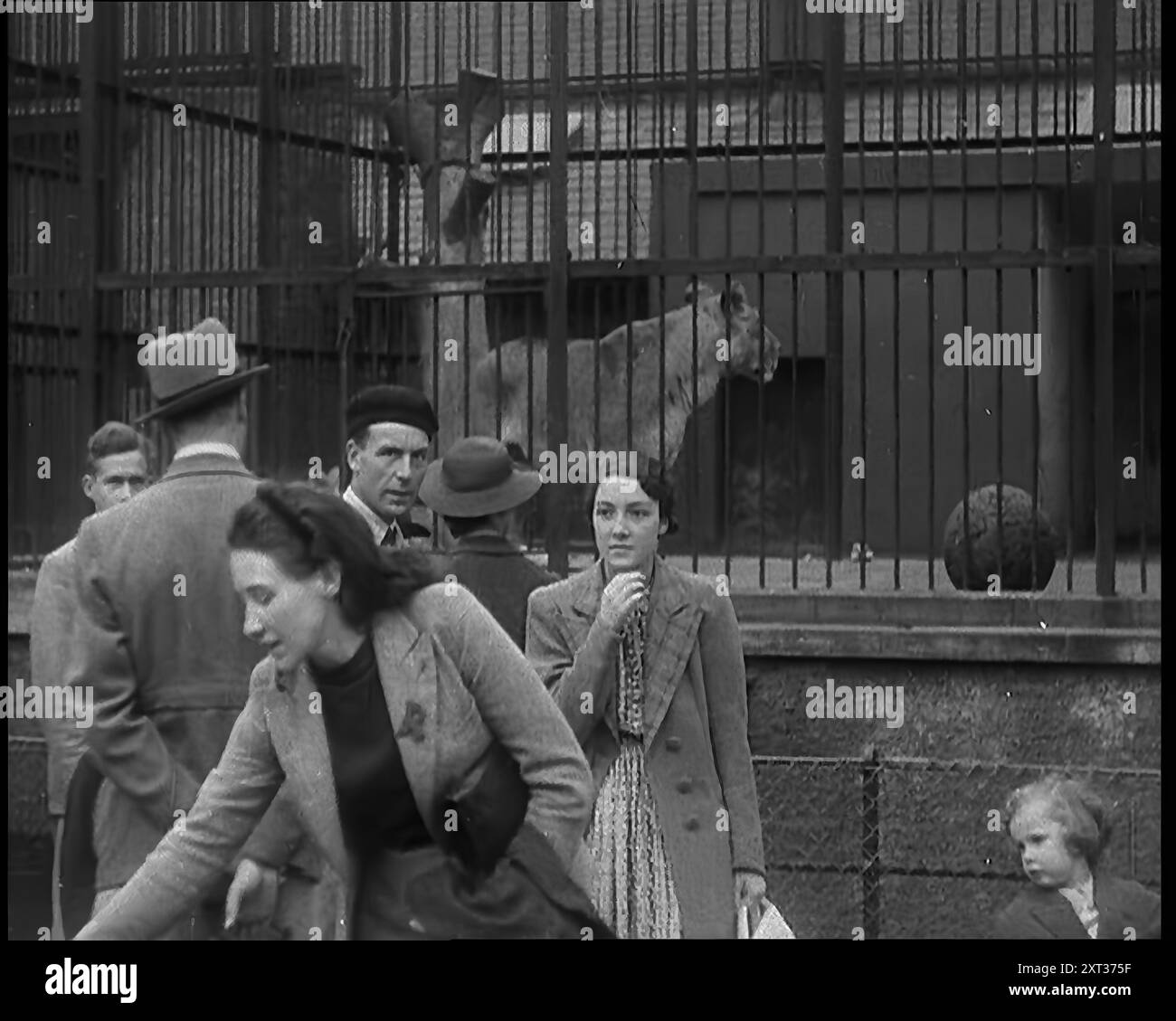 Briten im Zoo, 1940. Zweiter Weltkrieg. Ein Großbritannien im Krieg, aber noch nicht im Kampf. Warten auf den Kampf und während der Wartezeit, Festhalten an Frieden und all seinen Freuden." Aus Time to Remember - Run Rabbit Run, 1940 ( Reel 2); Dokumentarfilm über Ereignisse der frühen Monate 1940. Stockfoto