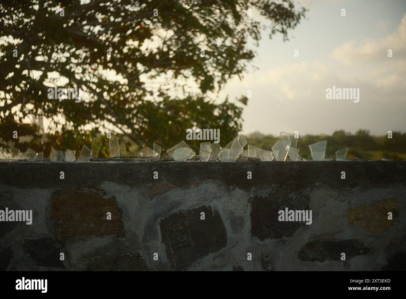 Steinmauer mit scharfkantigen Glasfragmenten für Sicherheitszwecke Stockfoto
