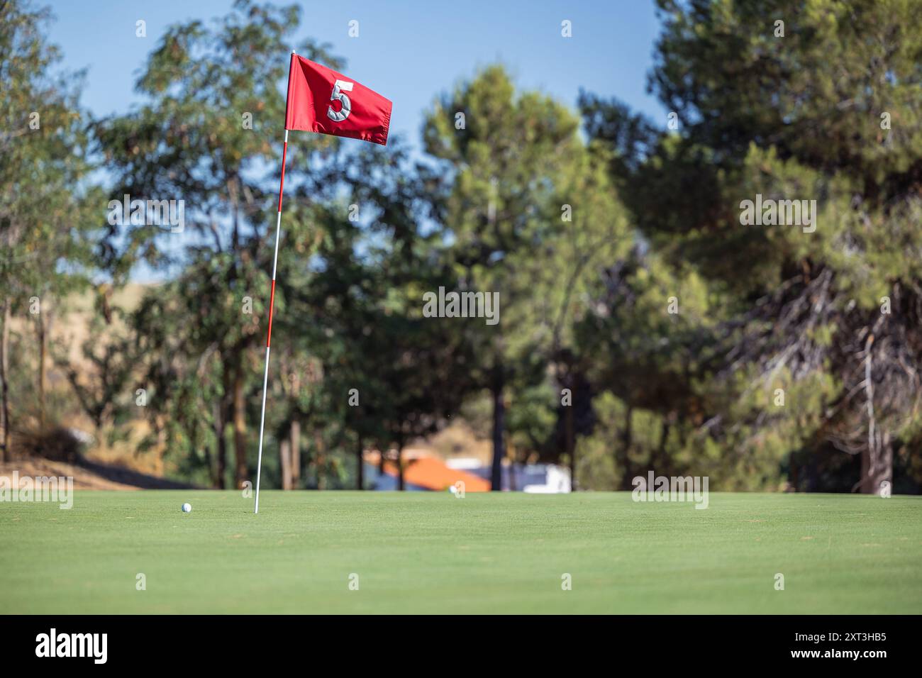 Eine leuchtende rote Golffahne mit der Nummer 5 an einem sonnigen Tag vor einer verschwommenen Kulisse aus grünen Bäumen und rauem Gelände. Stockfoto