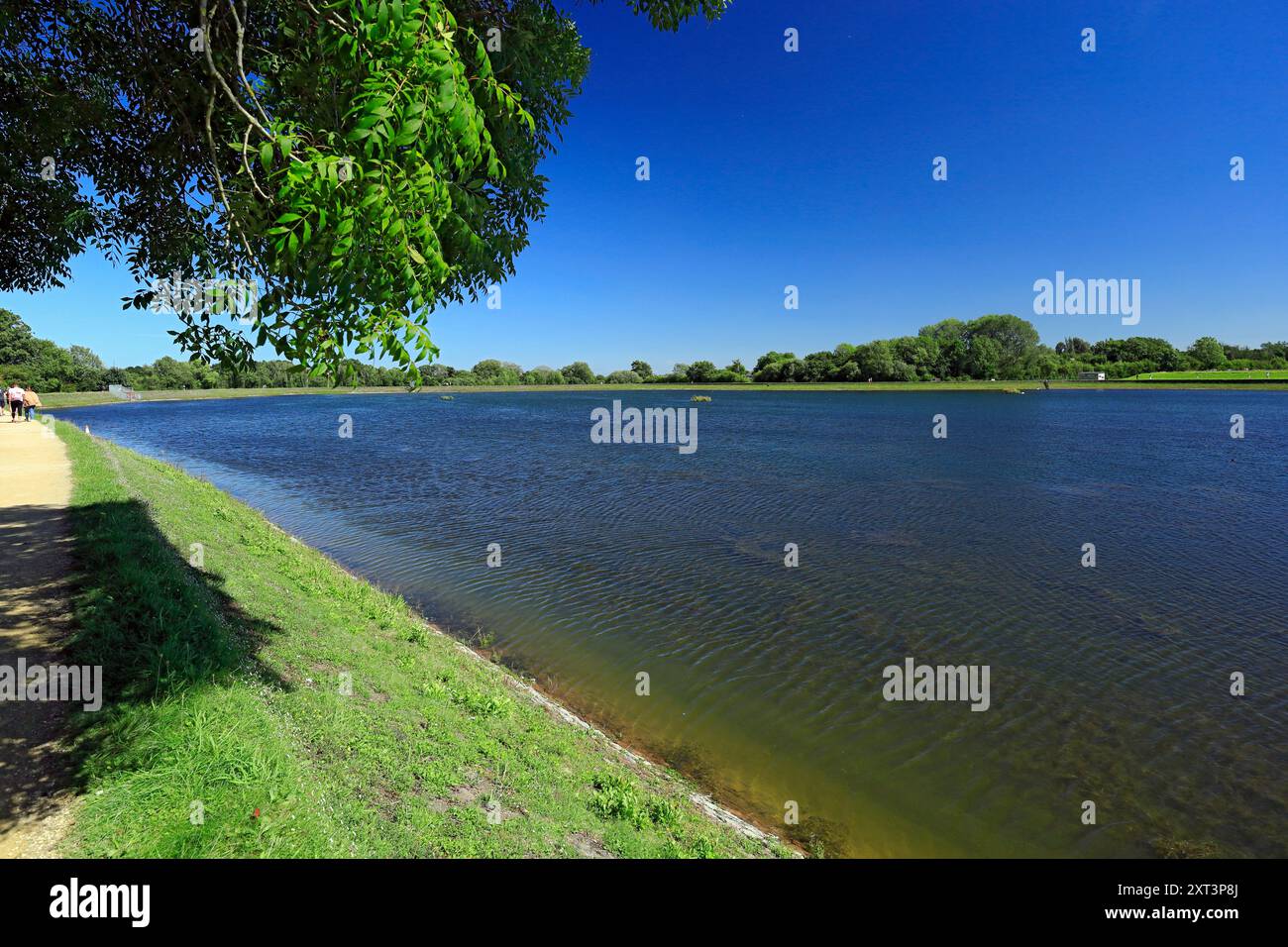 Lisvane Reservoir, Lisvane Und Llanishen Reservoir, Llanishen, Cardiff, Wales. Stockfoto