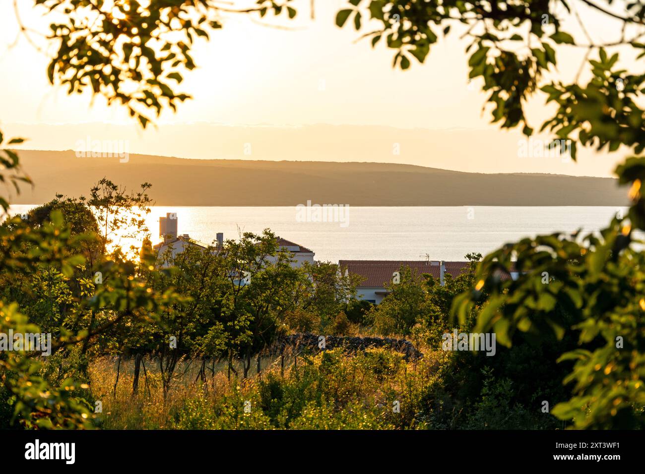 Sonnenaufgang in Nerezine auf der Insel Losinj in der Adria, Kroatien Stockfoto