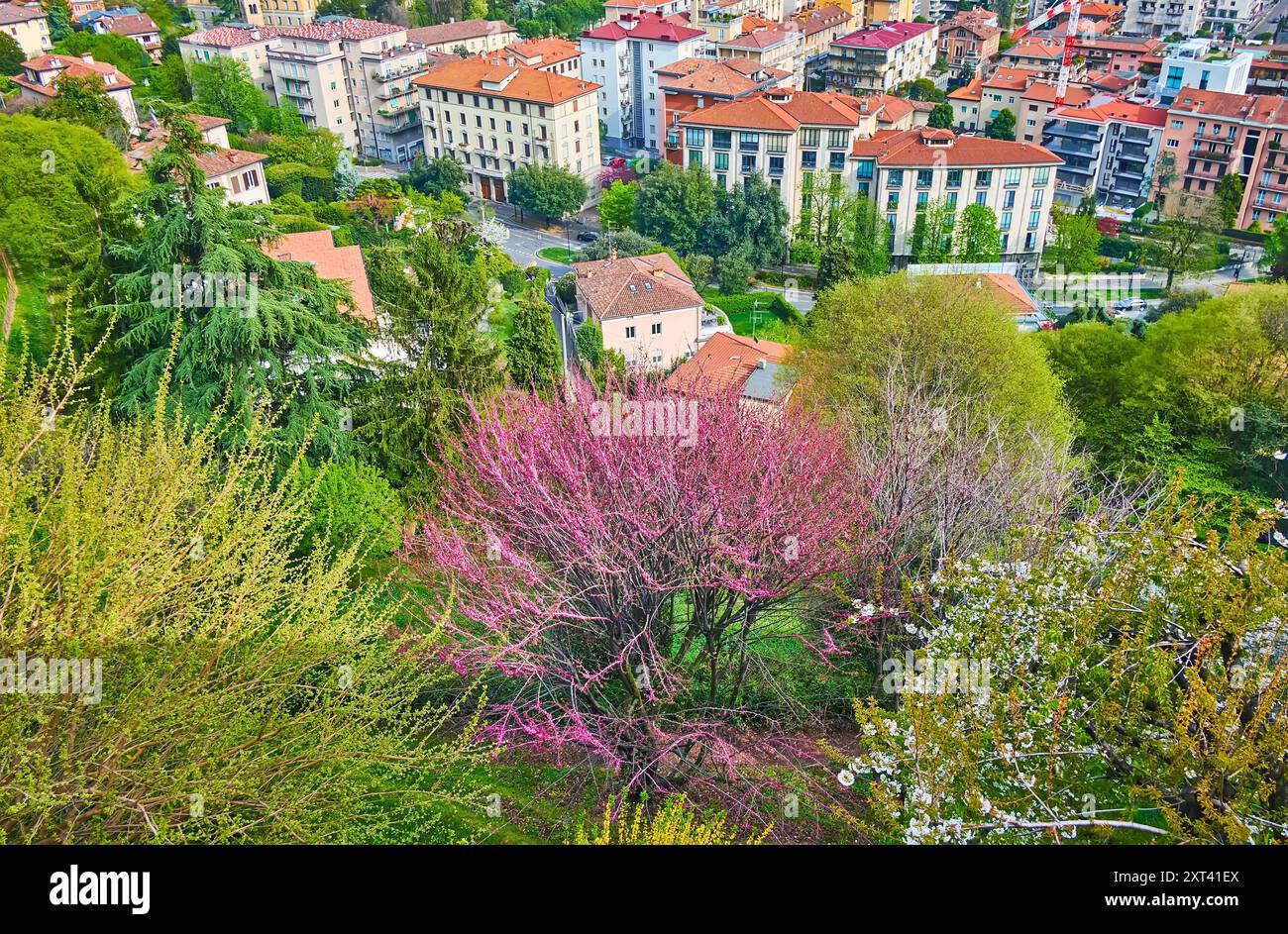 Der blühende Park am Hang des Bergamo Alta mit dichten Wohnhäusern der Citta Bassa (Unterstadt) im Hintergrund, Italien Stockfoto