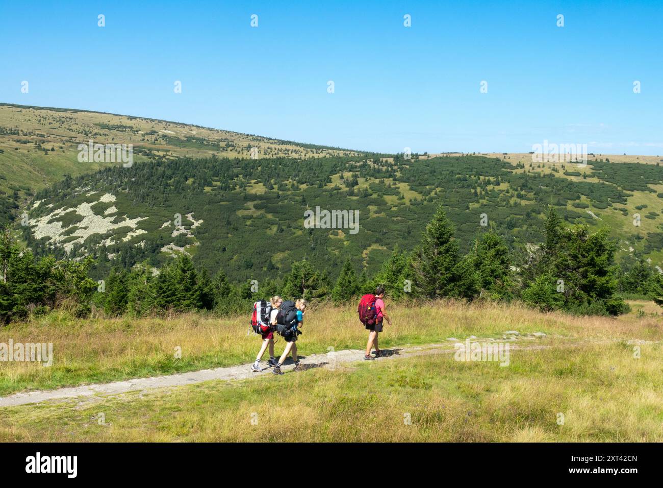 Drei junge Frauen auf einem Bergweg Sommerwandern im Nationalpark Riesengebirge Krkonose Tschechische Republik Junge Rucksacktouristen Sommerszene Stockfoto