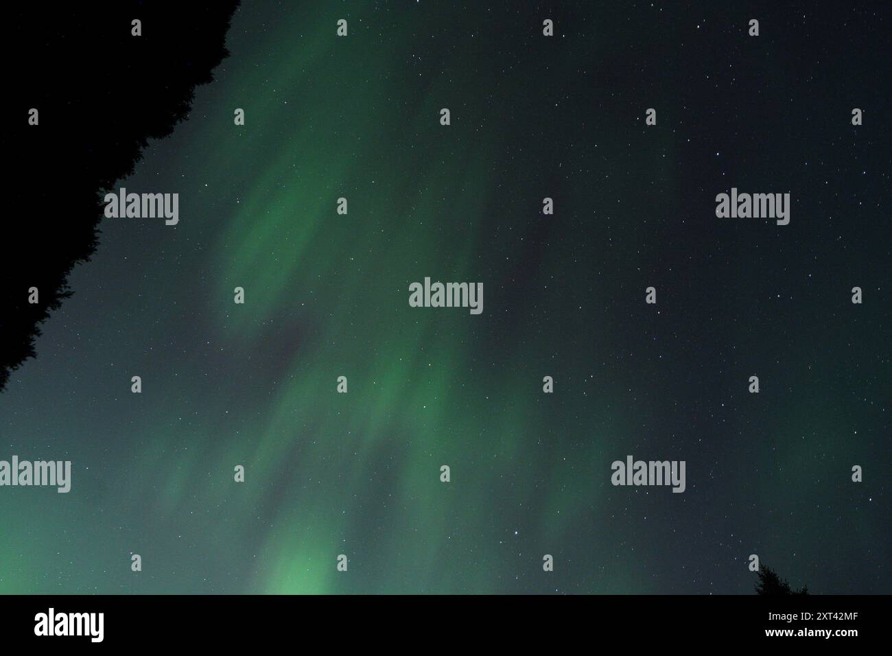 Geomagnetischer Sturm trifft die Erde im August 2024. Aurora mit Sternen und farbenfrohem Himmel. Verursacht durch einen koronalen Massenauswurf (CME), der aus der Sonne ausbrach Stockfoto