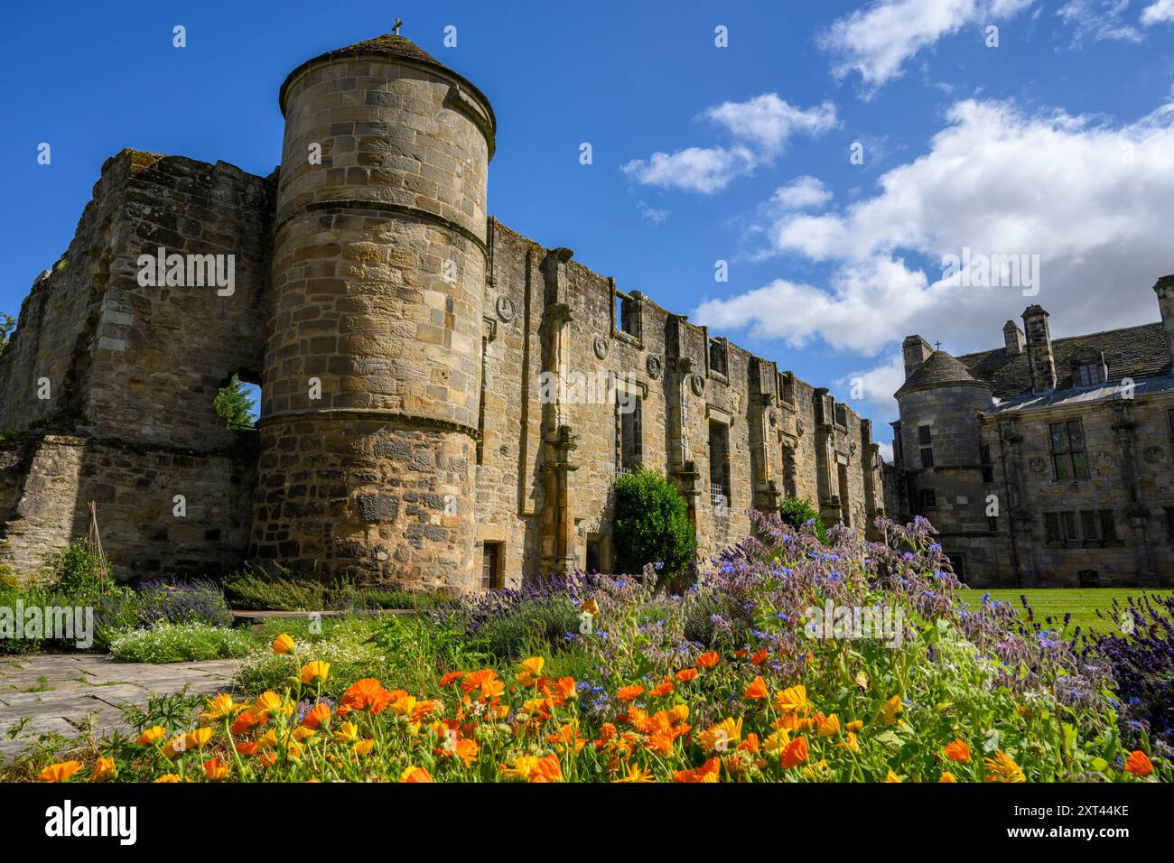 Falkland Palace and Gardens, Falkland, Fife, Schottland, Großbritannien. Stockfoto