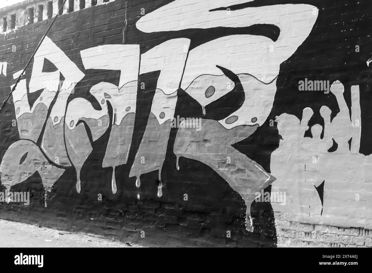 Protest by Art, Bild aufgenommen am 10. August 2024 Stockfoto