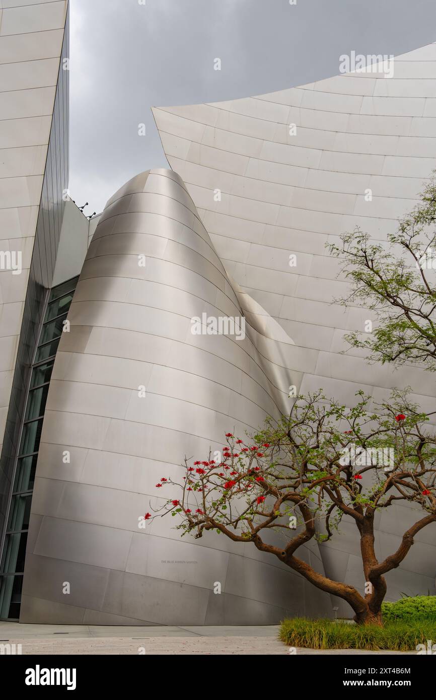 Los Angeles, CA, USA-24. Mai 2024: Die Walt Disney Concert Hall im Zentrum VON LA, wo die Los Angeles Philharmonic die moderne Architektur präsentiert Stockfoto