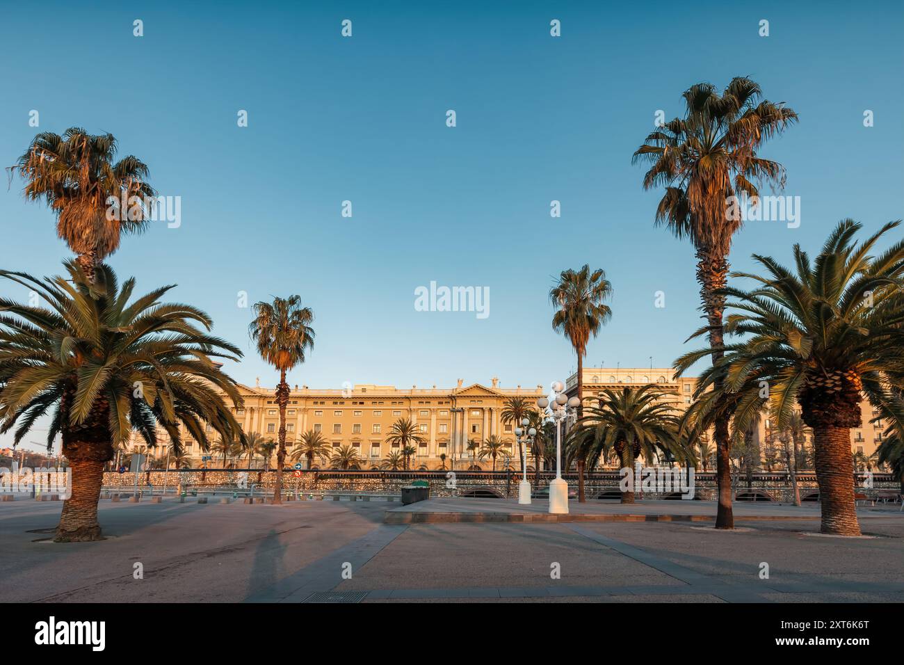 Passeig de Colom, Allee und Promenade gesäumt von Palmen an der Innenstadt von Barcelona, Katalonien, Spanien. Stockfoto