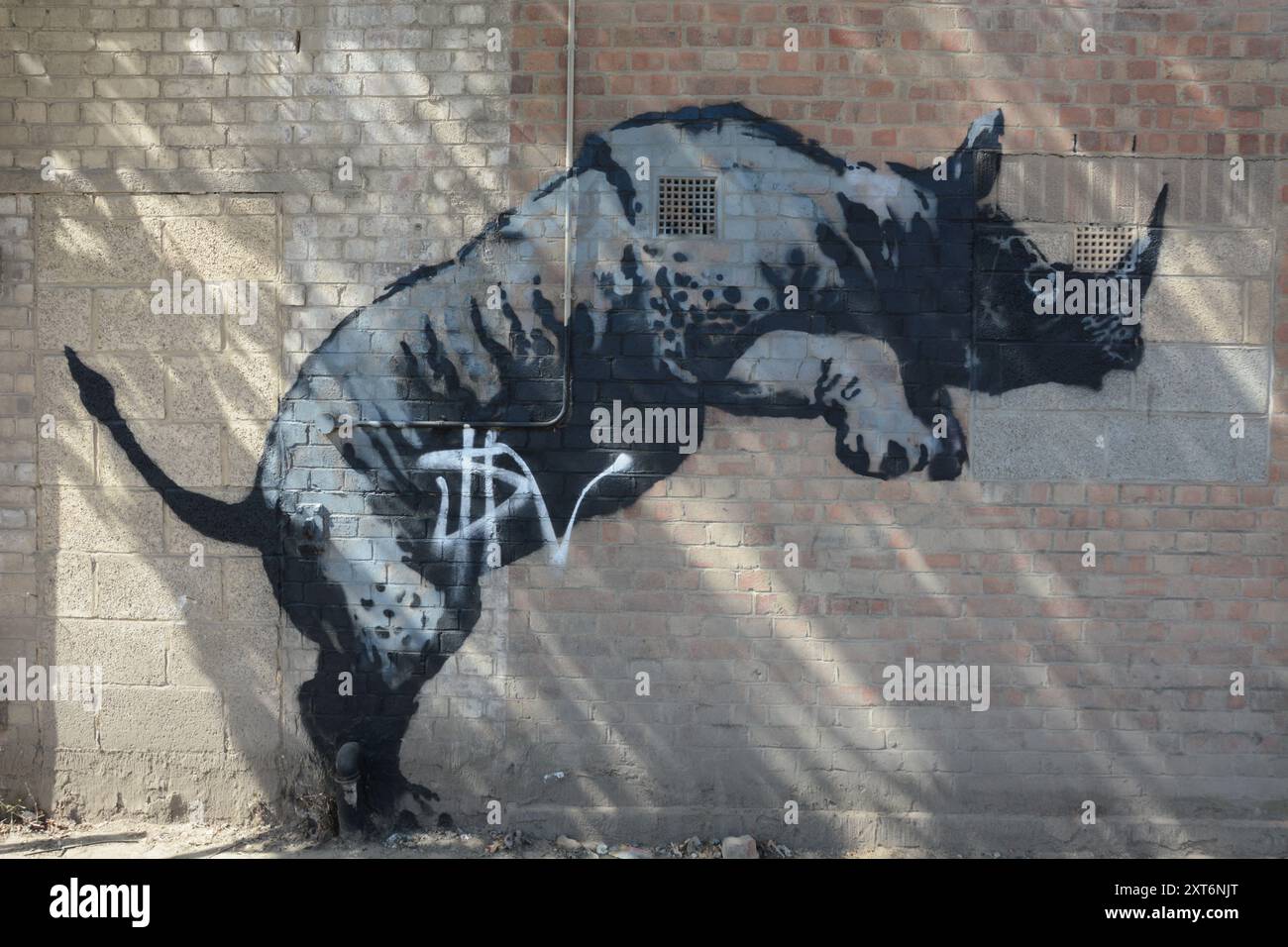 Banksys Nashorn in Charlton wurde Stunden nach seiner Enthüllung markiert und am folgenden Tag wurde das Werk geschützt. Stockfoto