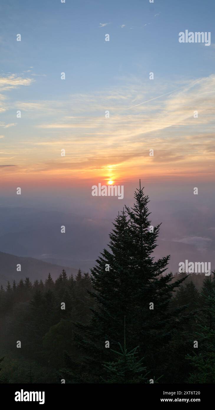 Sonnenaufgang am Mount Mitchell Stockfoto