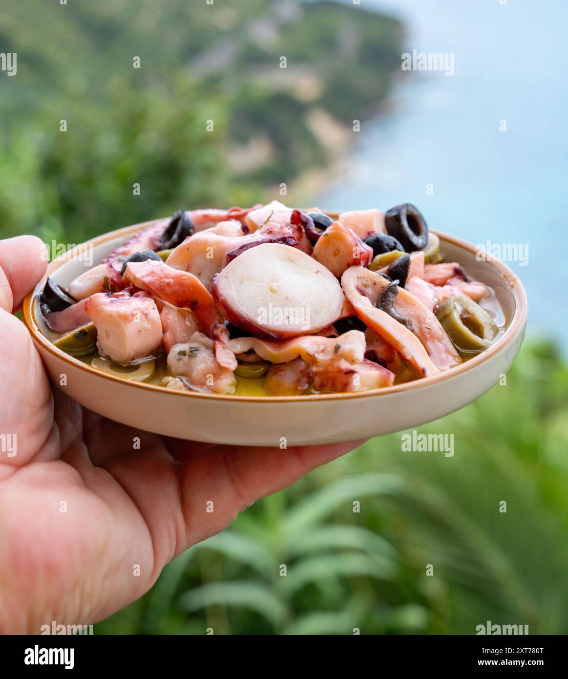 Leckerer Antipasti-Salat oder Vorspeise mit Meeresfrüchten, gegrillter Tintenfisch im ligurischen Stil mit grünen und schwarzen Oliven im italienischen Restaurant Stockfoto