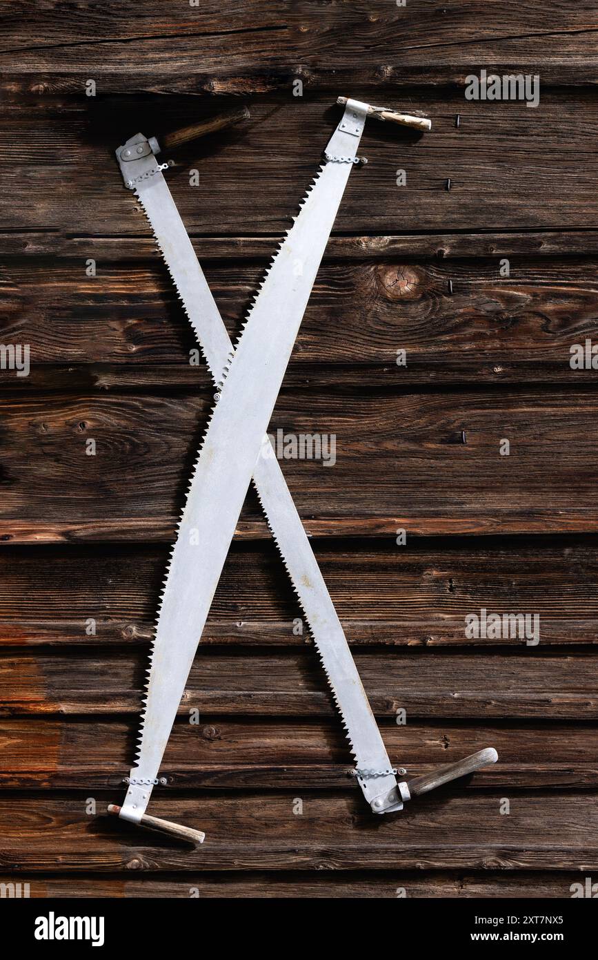 Die Kreuzsäge oder Zweimannsäge ist an einer Holzwand montiert. Stockfoto