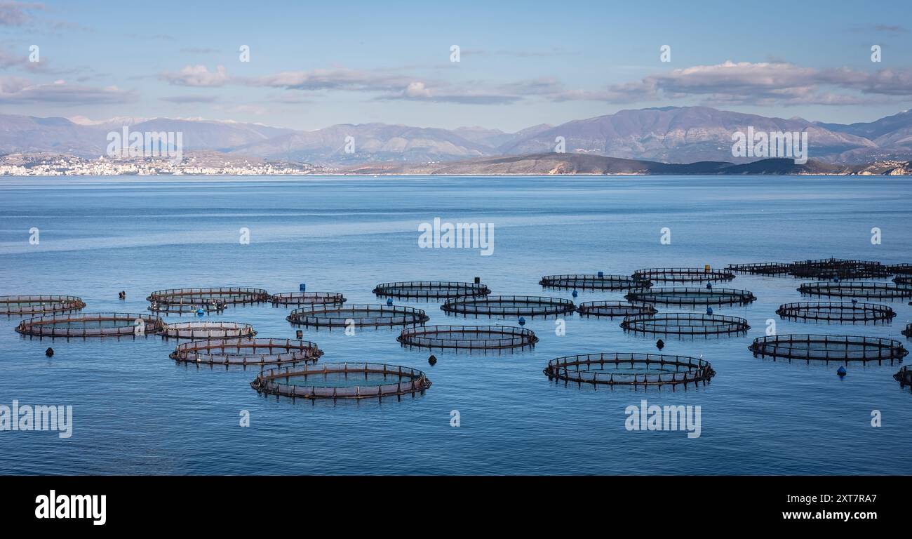 Fischfarm auf dem Meer, Fischzucht, Griechenland Aquakultur, Meeresfischfarm. Fischzuchtkäfige und Fischernetze, Fischzucht, mit Meereslandschaft und Stockfoto