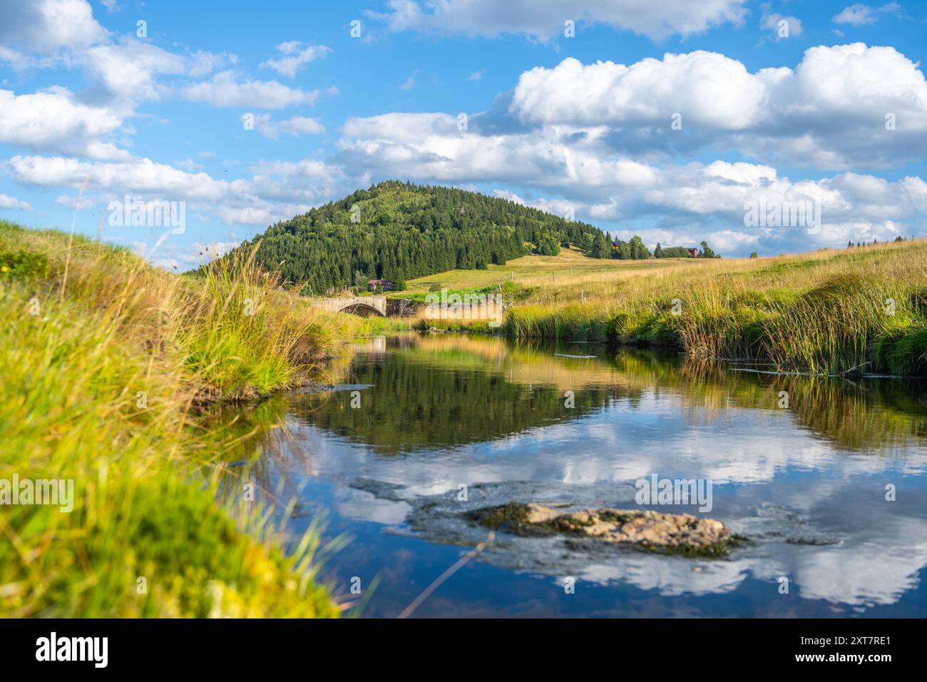 Der Berg Bukovec spiegelt sich in einem ruhigen Bach, umgeben von grasbewachsenen Feldern und verstreuten Wolken im Dorf Jizerka, im Isergebirge in Tschechien. Stockfoto