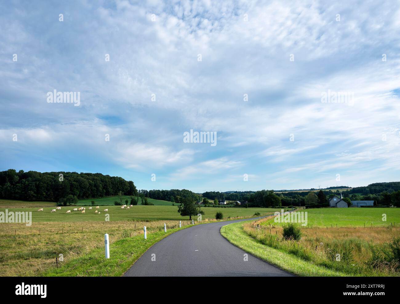 Eine ruhige Landstraße schlängelt sich bei Sonnenuntergang durch die ländliche Landschaft der französischen ardennen Stockfoto