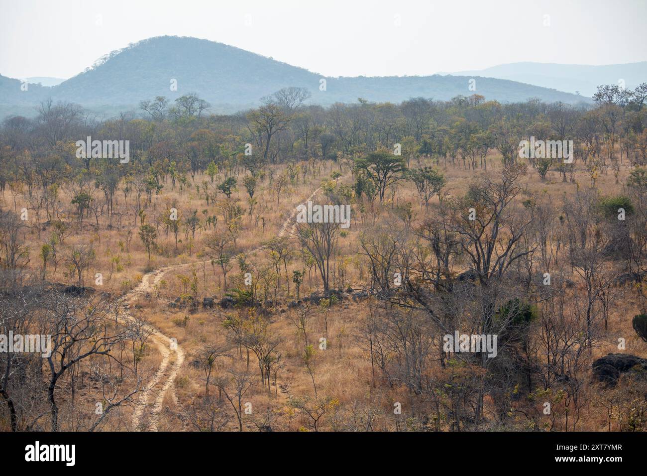 Malerische Landschaft mit einer selten genutzten zweispurigen Feldstraße, die sich durch hügelige, zerklüftete Landschaft im nordöstlichen Teil von North Luangwa Nationa schlängelt Stockfoto