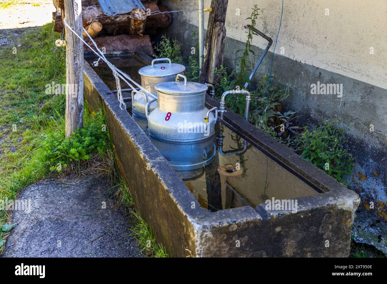 Zwei Milchkannen stehen im kalten fließenden Wasser eines Steintroughs in Gersau, Schwyz, Schweiz Stockfoto