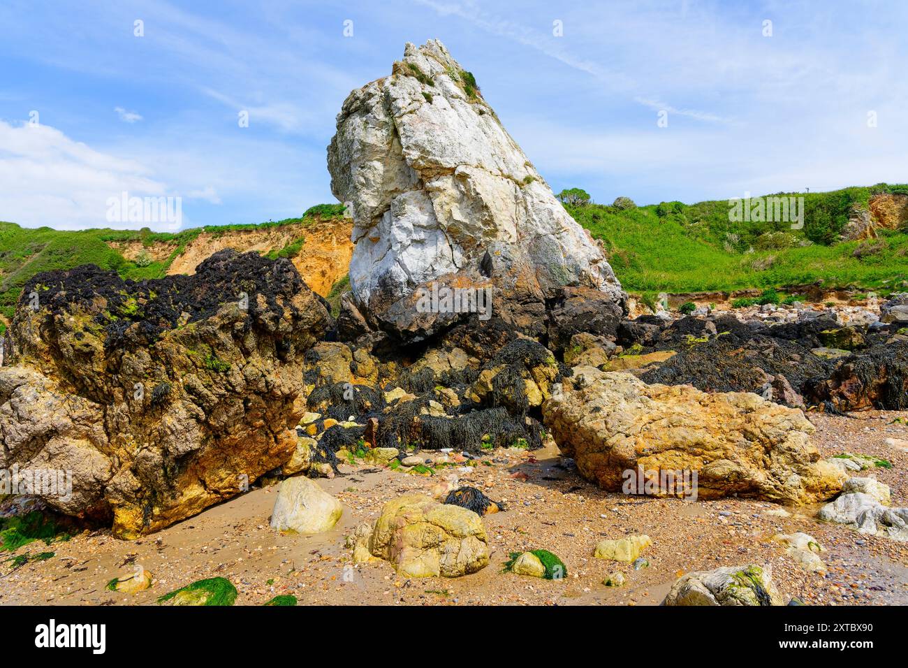 Bei Ebbe am Porth Padrig Beach werden Meeresalgen bedeckte Felsen am Fuß des Meeresstapels der White Lady sichtbar. Stockfoto