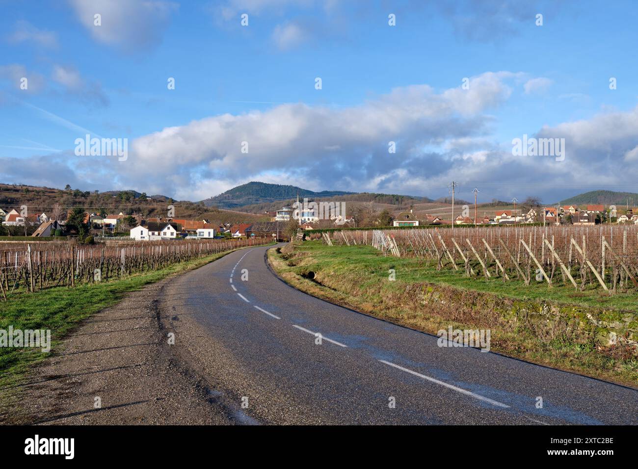Elsass, Dezember: Blick auf die Weinberge im Chateau de Kaysersberg Stockfoto