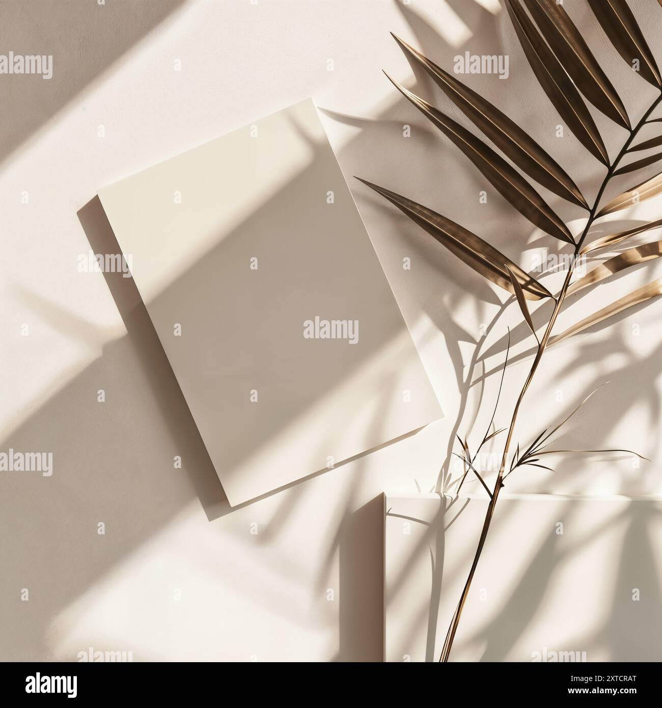 Minimalistische Komposition mit getrocknetem Palmblatt und leerem Papiermockup, Palm, ästhetischem Beige, Hochzeitseinladung Stockfoto