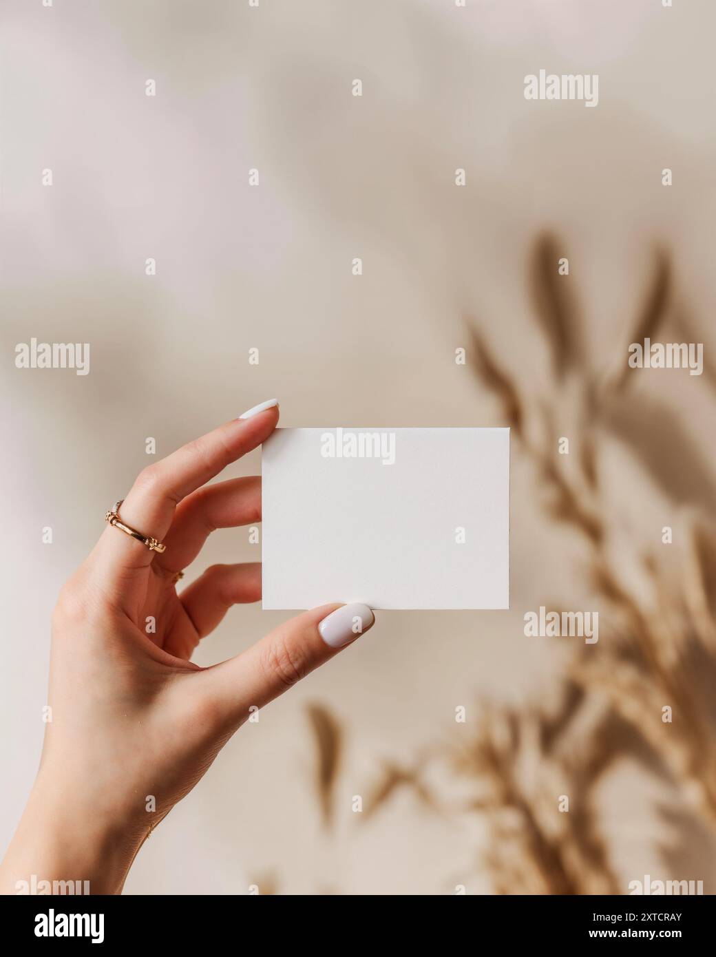 Minimalistische Komposition mit getrocknetem Palmblatt und leerem Papiermockup, Palm, ästhetischem Beige, Hochzeitseinladung Stockfoto