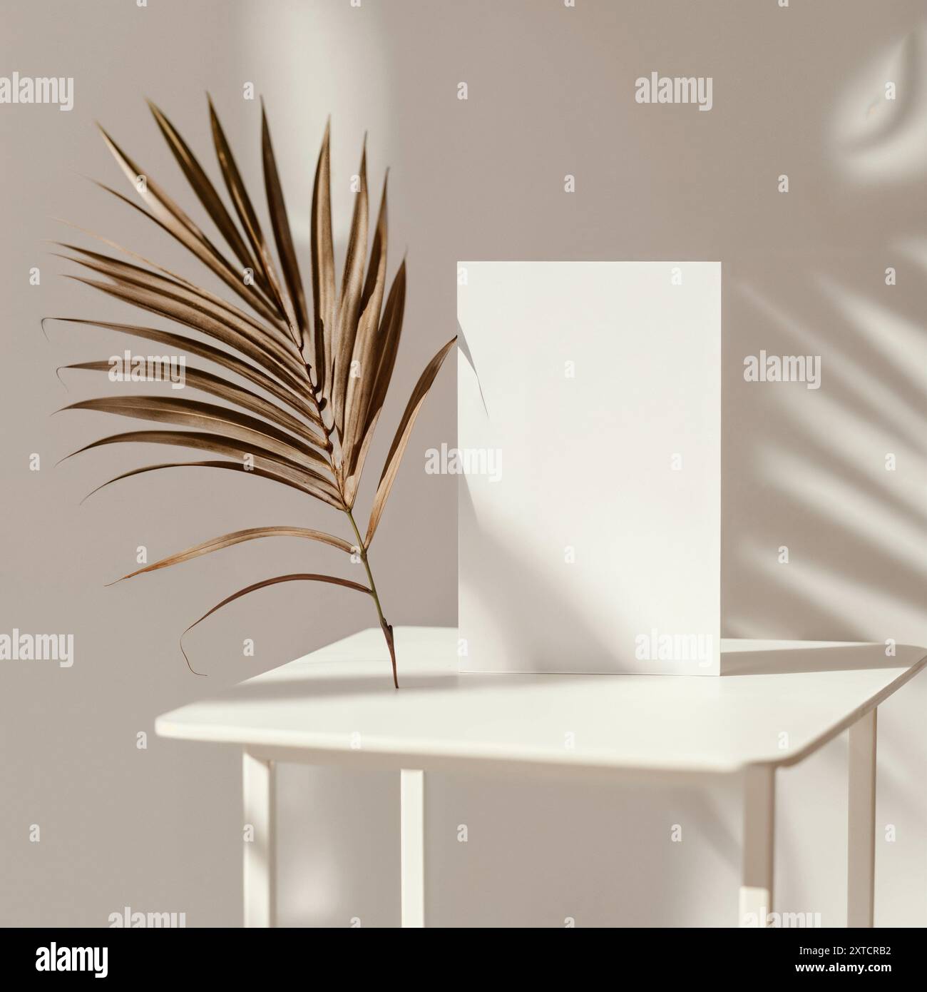 Minimalistische Komposition mit getrocknetem Palmblatt und leerem Papiermockup, Palm, ästhetischem Beige, Hochzeitseinladung Stockfoto
