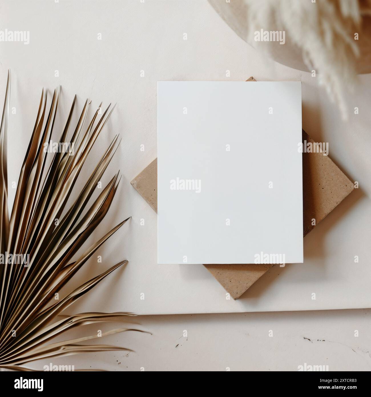 Minimalistische Komposition mit getrocknetem Palmblatt und leerem Papiermockup, Palm, ästhetischem Beige, Hochzeitseinladung Stockfoto