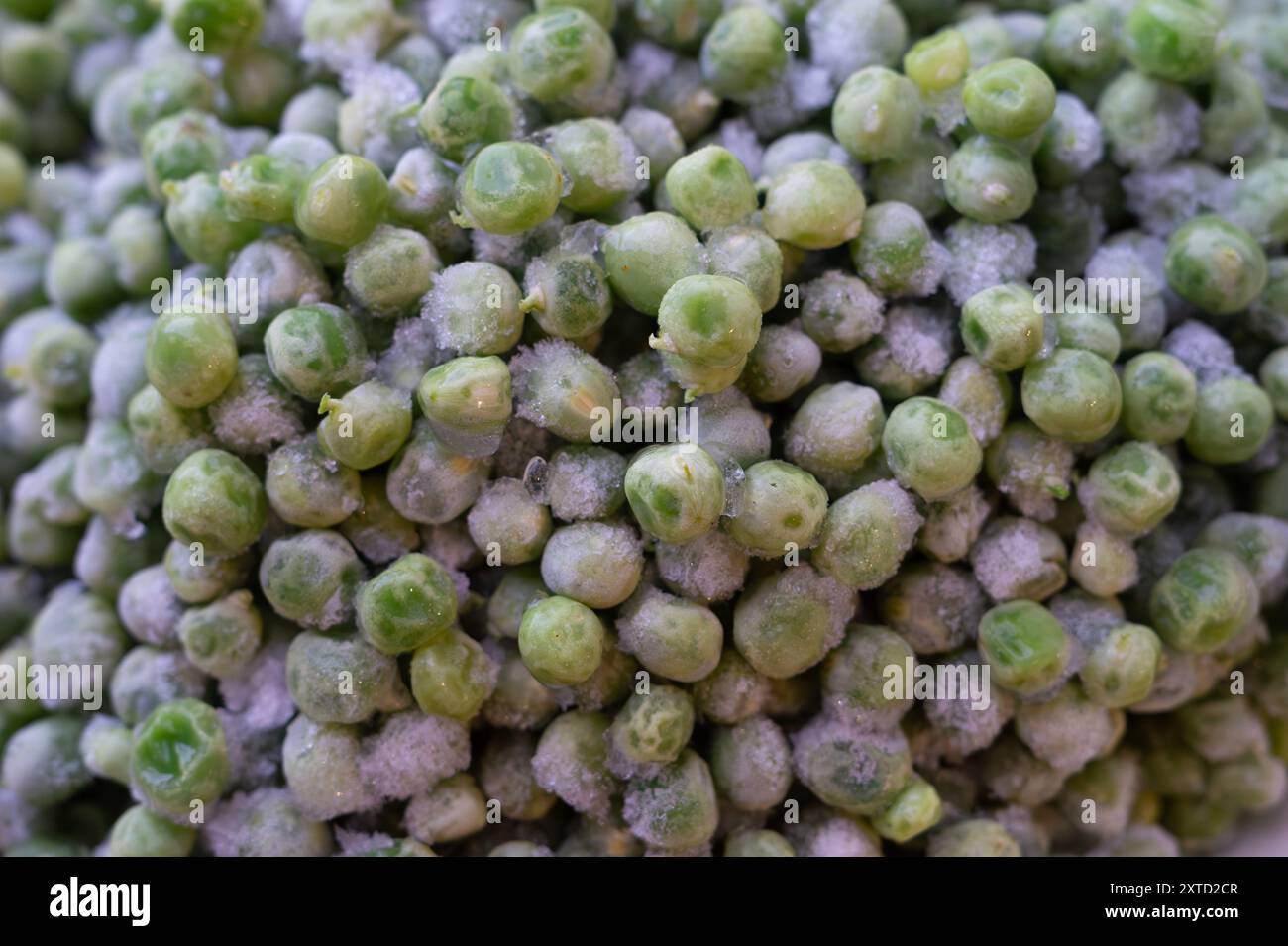 Tiefgefrorene grüne Erbsen Nahaufnahme. Geschälte grüne Erbsenbohnen während der Langzeitlagerung. Stockfoto